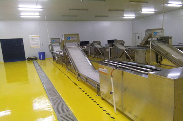 888集团welcome大厅告诉你全自动洗菜机都有哪些功能 888集团welcome大厅告诉你全自动洗菜机都有哪些功能