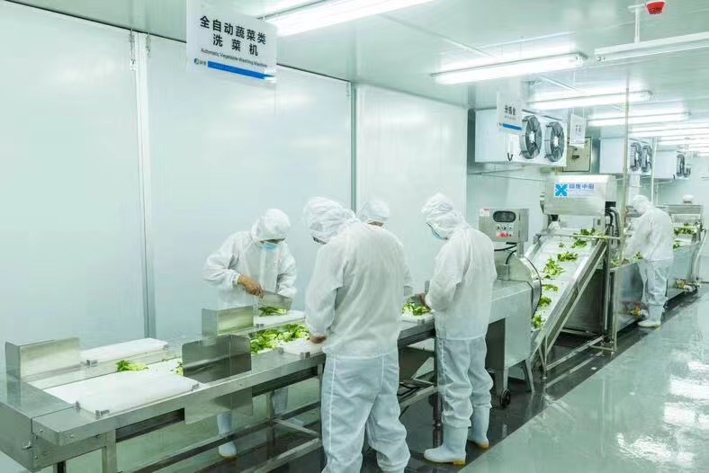 数智赋能,未来已来——厨房智能进化论 数智赋能,未来已来——厨房智能进化论