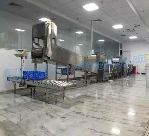 888集团welcome大厅连续式洗菜线助力妙香居泡菜产业升级 888集团welcome大厅连续式洗菜线助力妙香居泡菜产业升级