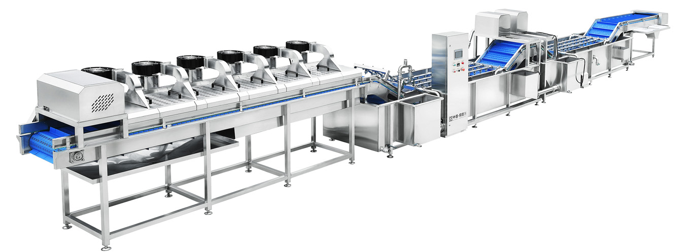 整棵菜(瓜果)无损清洗线